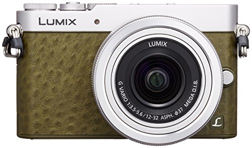 パナソニック ミラーレス一眼カメラ GM5 レンズキット グリーン DMC-GM5K-G パナソニック ミラーレス一眼カメラ GM5 レンズキット グリーン DMC-GM5K-G