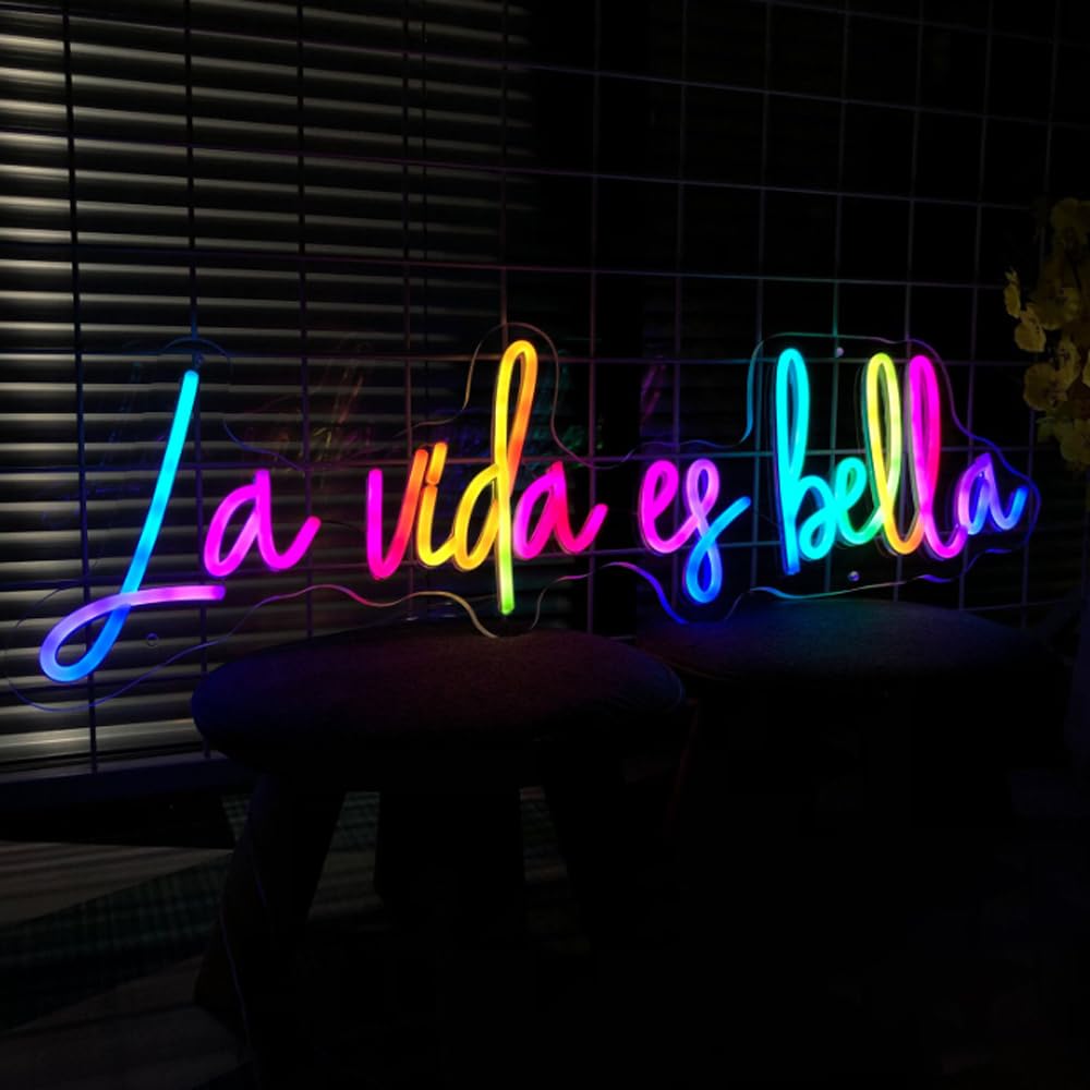 Letrero LED Letreros de neón franceses Bonjour Luces LED italianas Ciao Lámparas nocturnas decorativas de pared Decoración de fiesta Luz USB Brillo ajustable