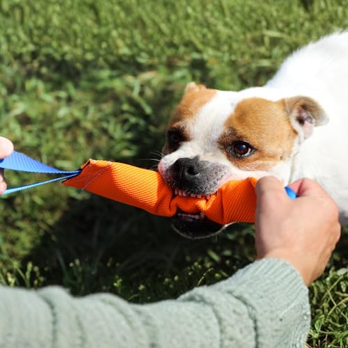 Bull Fit Beisswurst für Hunde, 30 cm, mit Zwei Schlaufen - Sehr Robustes Hundespielzeug zum Training, Tauziehen und Zerrspiele mit Hund - Aus hochwertigem Feuerwehrschlauch handgefertigt, orange