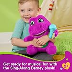 Barney, les jouets pour enfants du monde par Fisher-Price, Barney Une grande peluche, 10.5 -inch Figure avec des sons, texture douce pour jouer, âge des enfants 2+ Années