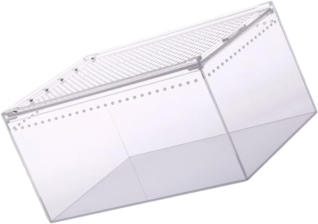 BESPORTBLE Acrylic Leakproof Reptile Box 1-Piece Climbing PET Feeding Container for Frogs Spiders Snakes