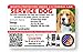 Just 4 Paws Custom Holographic QR Code Service Dog ID Card with Registration to Service Dogs Registry with Strap - Landscape Style (Service Dog Photo ID)