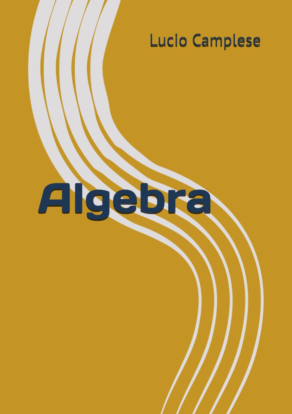 Algebra (La matematica necessaria)