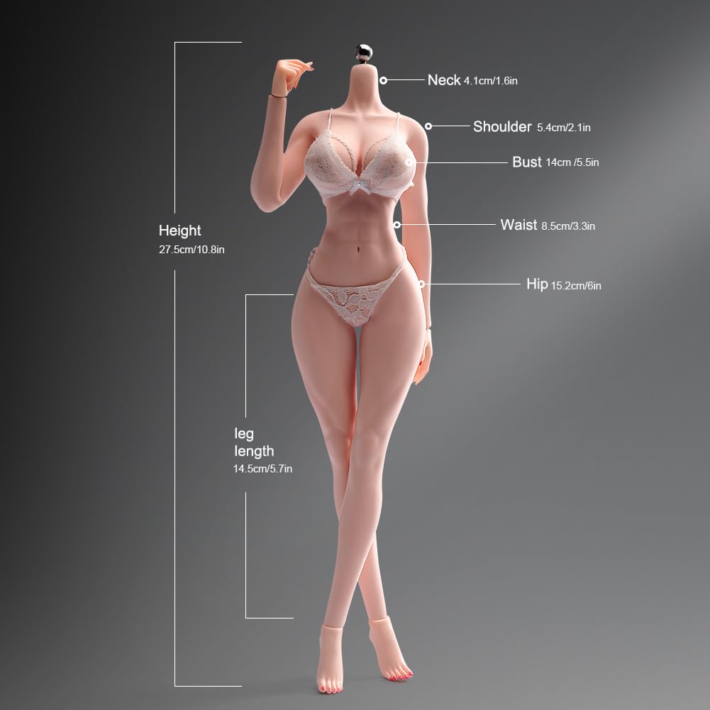 AMITD Statuetta da donna in scala 1/6, 30,5 cm, corpo pallido, scheletro in acciaio senza cuciture, per scena in miniatura fai da te
