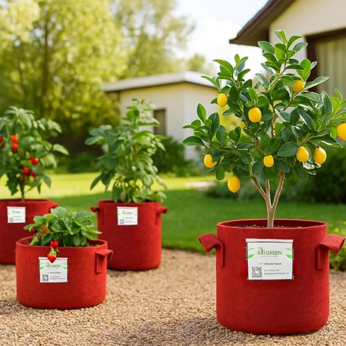 Image of Geo Fabric Grow Bags for Plants 8X8 Inch (Pack of 5) | 400 GSM Heavy Duty UV-Protected Round Maroon Colour Plant Bags for Terrace and Vegetable Gardening | Strong & Reusable|