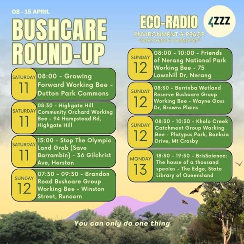 Edible Weeds - Fungi4Land