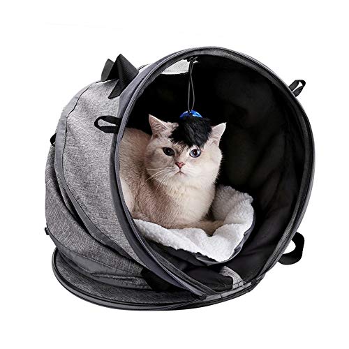 EIGHTT Túnel del Gato Portable Plegable Cama con modificable Formas Mat Juguetes Docamor Plegable del Animal doméstico del Gato Cama Gatos Sofá para Gatos y Perros Pequeños