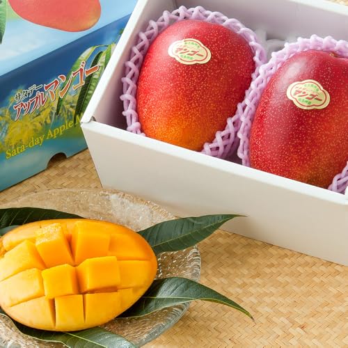 [先行予約]☆本土最南端☆佐多の果樹園で育てた 完熟アップルマンゴー 800g ( 2玉 ) ST-406 |鹿児島県 南大隅町