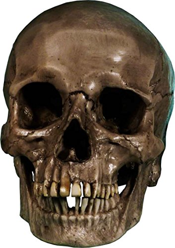Authentic Life Size Replica Aged Relic Human Skull Reproduction In Crypt Dust Grey Color #3020-3093, By Nose Desserts #TOP1
