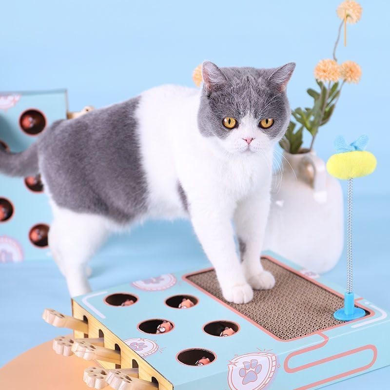 Jouet interactif en bois pour chat avec boîte de puzzle 5 trous