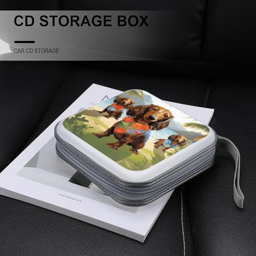 Rangement DVD compact teckel pour stopper le désordre des disques