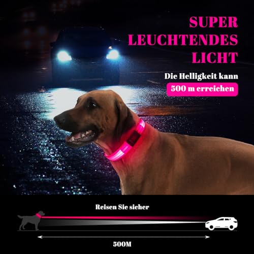 Leuchthalsband Hund, Hundehalsband Leuchtend Aufladbar mit Batteriekontrollleuchte, Wasserdichtes LED Hundegeschirr Leuchtend, Einstellbare Größe 3 Blinkende Lichter
