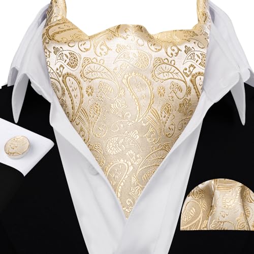 Image of Barry.Wang Ascot Ties Cravat Tie Men Paisley Plaid Scarf Self Tie Pocket Square Cufflinks Set Wedding Party