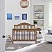 DaVinci Jayden 4-in-1 Convertible Crib in Chestnut, Greenguard Gold Certified