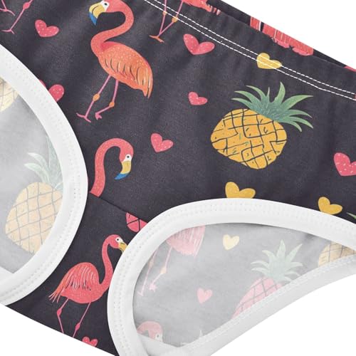 Wusikd Flamingos Pineapples Girls' Underwear Cotton Pink Girls Briefs Soft Toddler Underwear 2T4