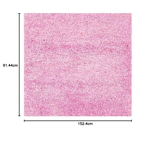 Image of SS Malik Handloom Soft Shaggy Rugs Fluffy Home Decorative Large Carpet for Living Room 2-inch Thick Carpet (3x5 Feet, Pink)