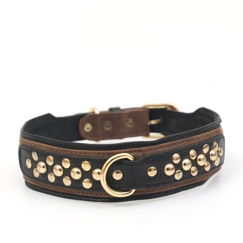 Pampaw Leather The Courage Collars for Dogs, Cats & Puppies - Soft Durable & Strong (10-15 Inch_Black) (B0CT2L2W6V) Amazon Price History, Amazon Price Tracker