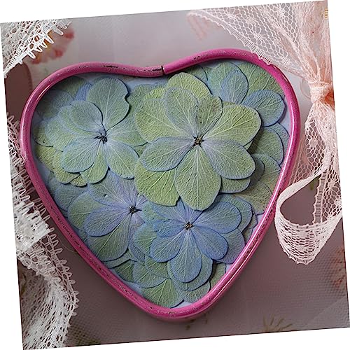 Magiclulu 30 piezas flores secas prensadas para manualidades miniatura 6
