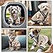 Hundepullover Valentinstag Hundepullover Kleine Hunde Strick Hundekleidung Bär Pullover Hund Hundepulli Strickjacke Katzenpullover Hundes Kleidung Welpenpullover Mantel für Kleine (Beige,M)