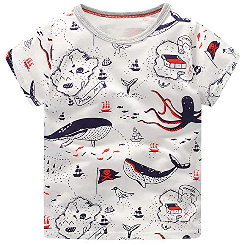 Image of Little Boys Shorts Set Toddler Boys 100% Cotton Summer Short Sleeve T-Shirts and Shorts Clothing Sets 2PCS