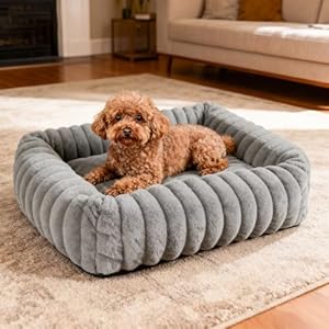 Leikurvo Hundebett Mittelgroße Hunde orthopädisch, 63x53x18 Hundebett Waschbares Hundekorb mit hohem Rand, Rechteckig, Cord Fleece, Rutschfestes Hundekörbchen Hunde bettchen Hundesofa, Grau