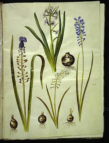 Pintura en lienzo de calidad de Hans Simon Holtzbecker para tu dormitorio