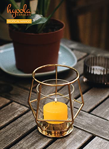 Image of HYOOLA Scented Votive Candles - Tropical Mango Votive Candles -12 Hour Burn Time - 9 Pack - European Made