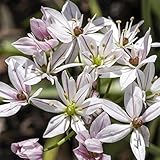 Garten Schlüter