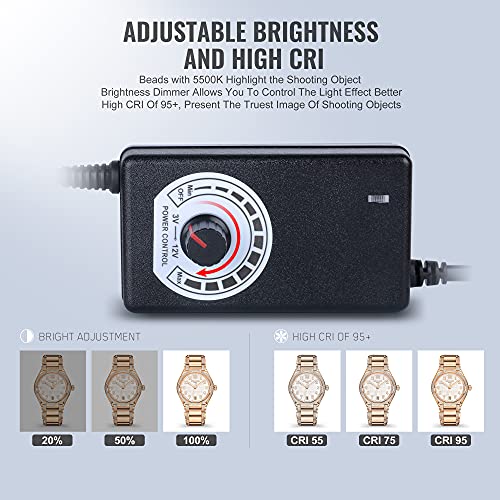 EASY EAGLE Box Fotografico, Tenda Fotografica