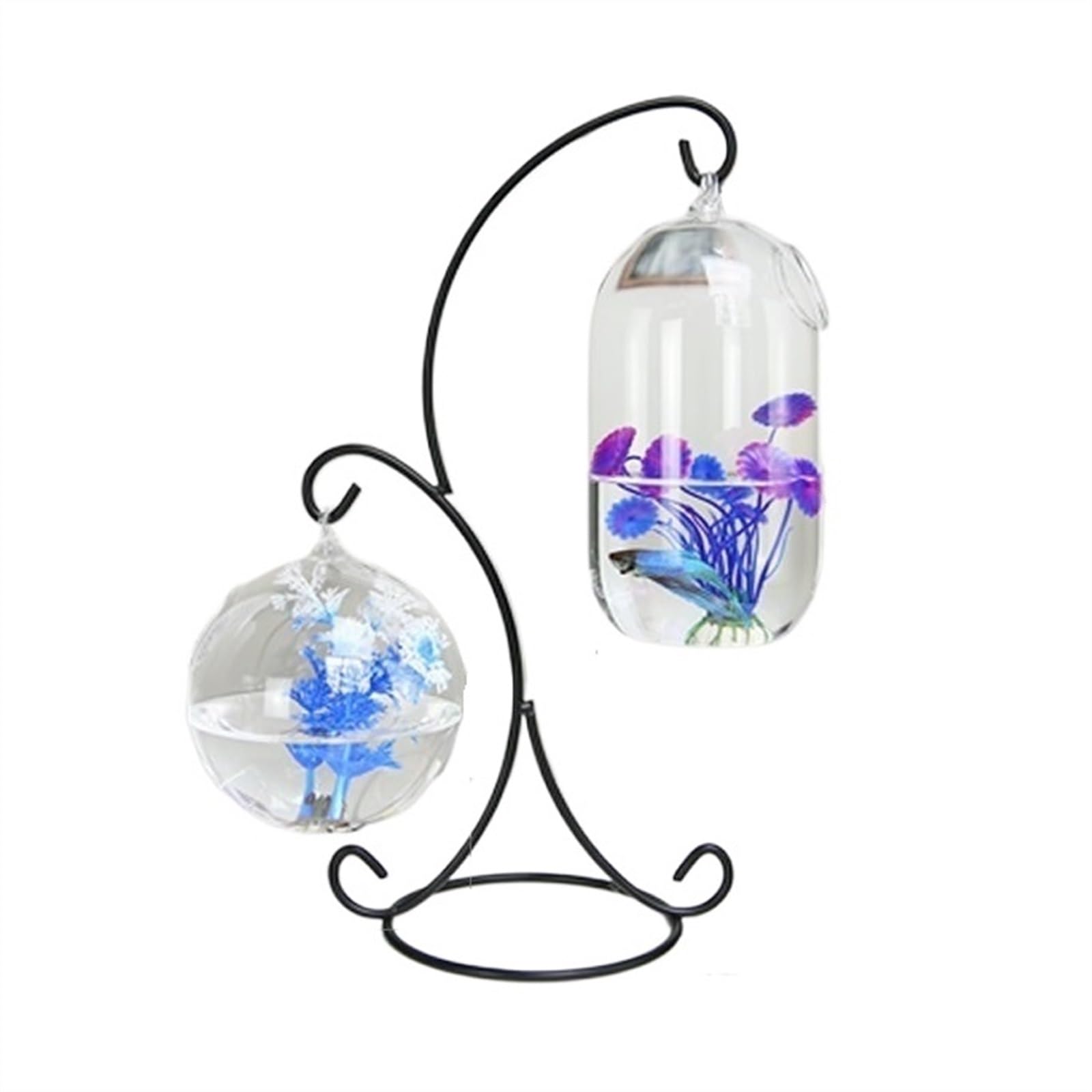 Lot de 2 petits aquariums à suspendre avec cadre en métal et verre