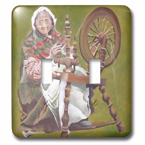 Interrupteur Irlande 3dRose Lsp_17643_2 finition durable
