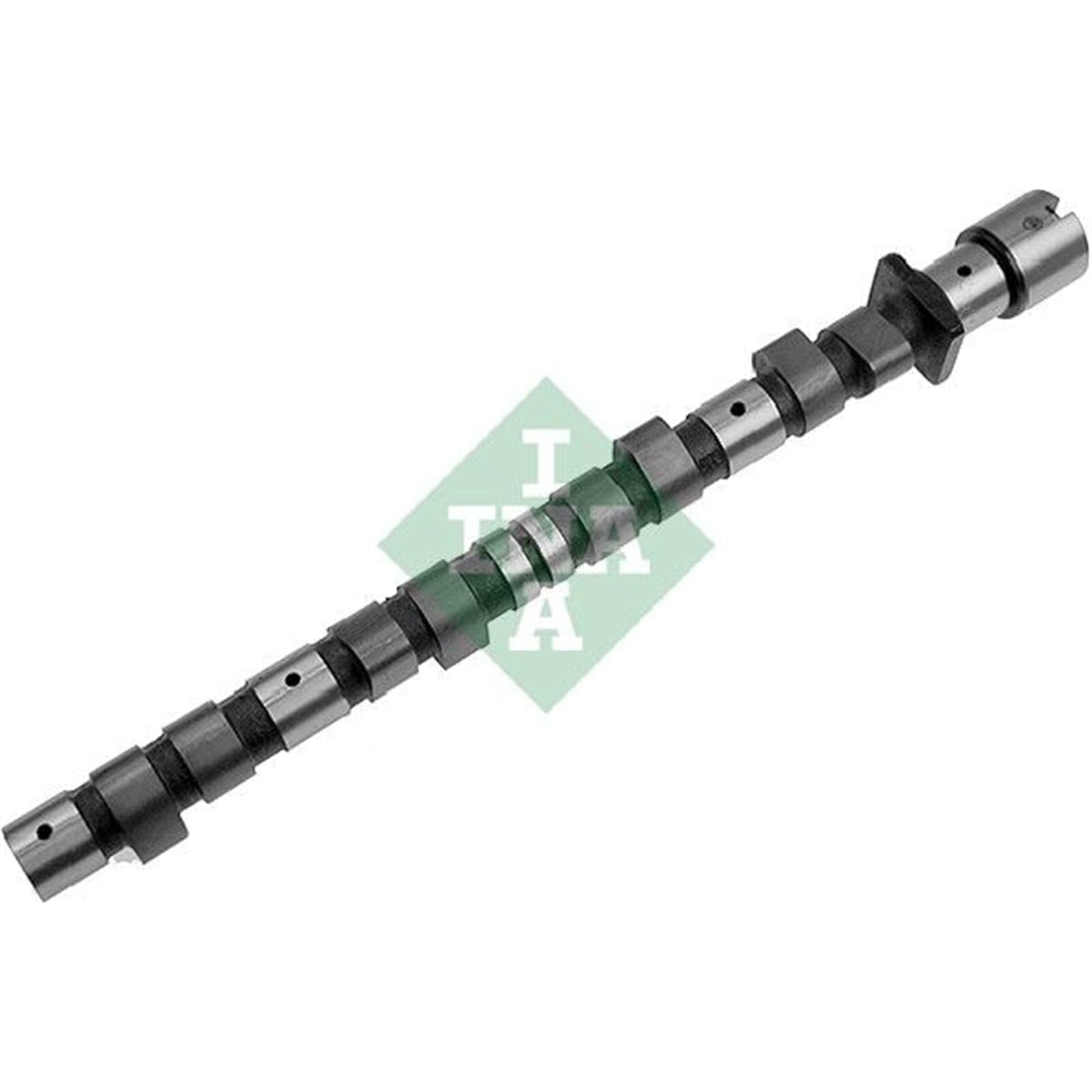 INA 428 0007 10 Albero a camme