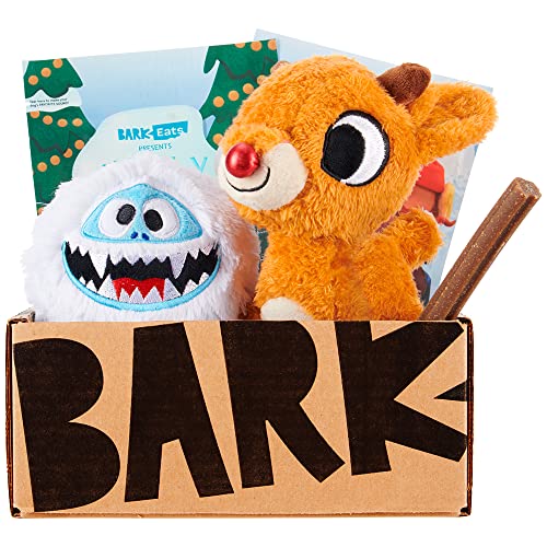 10 Fabulous Pet Subscription Boxes For Cats & Dogs