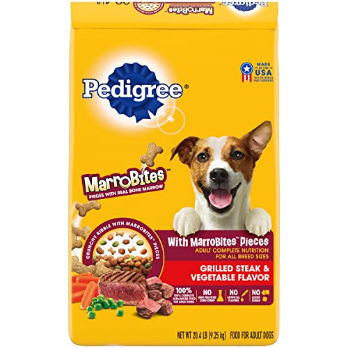 How To Get A Dog To Eat Dry Food Why Won't My Dog Eat Dry Dog Food