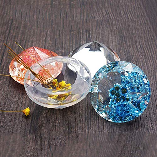 image for TAEERY 51 PCS Real Dried Pressed Flowers Leaves Petals for Crafts - Co