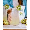 Real Infused Exotics Tropical Fruit Flavoring Syrup Variety - 2x Coco, Mango, Passion Fruit, Pina, Kiwi (Pack of 6, 16.9 FL OZ Bottles)