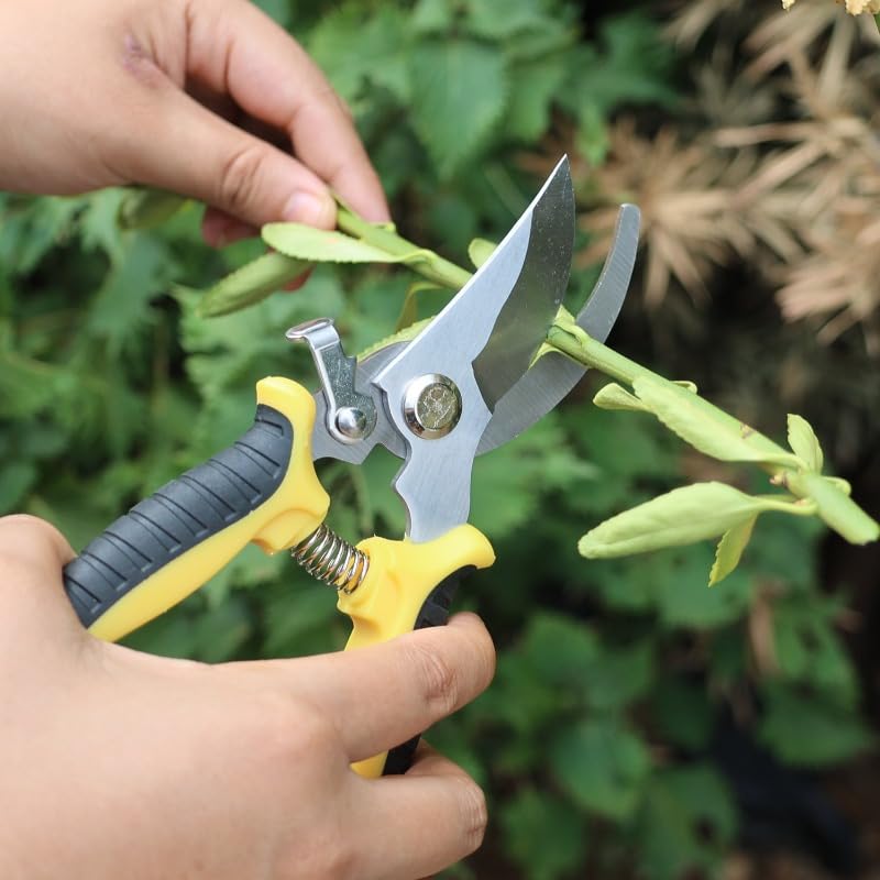 Tijeras de Jardinería Profesional Acero Inoxidable miniatura 2