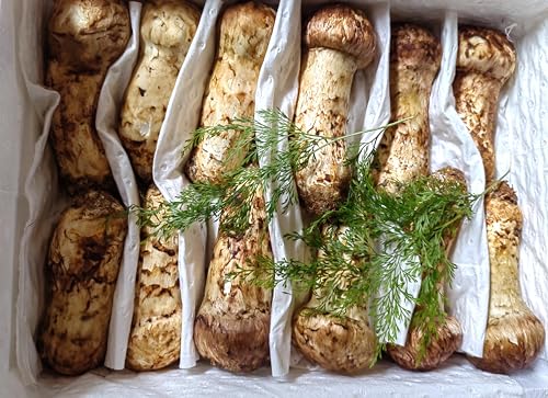 AВ̃tbV 1kg (ڂ) tbV N}c^P ̉l LmR ƒp Ɩp ip