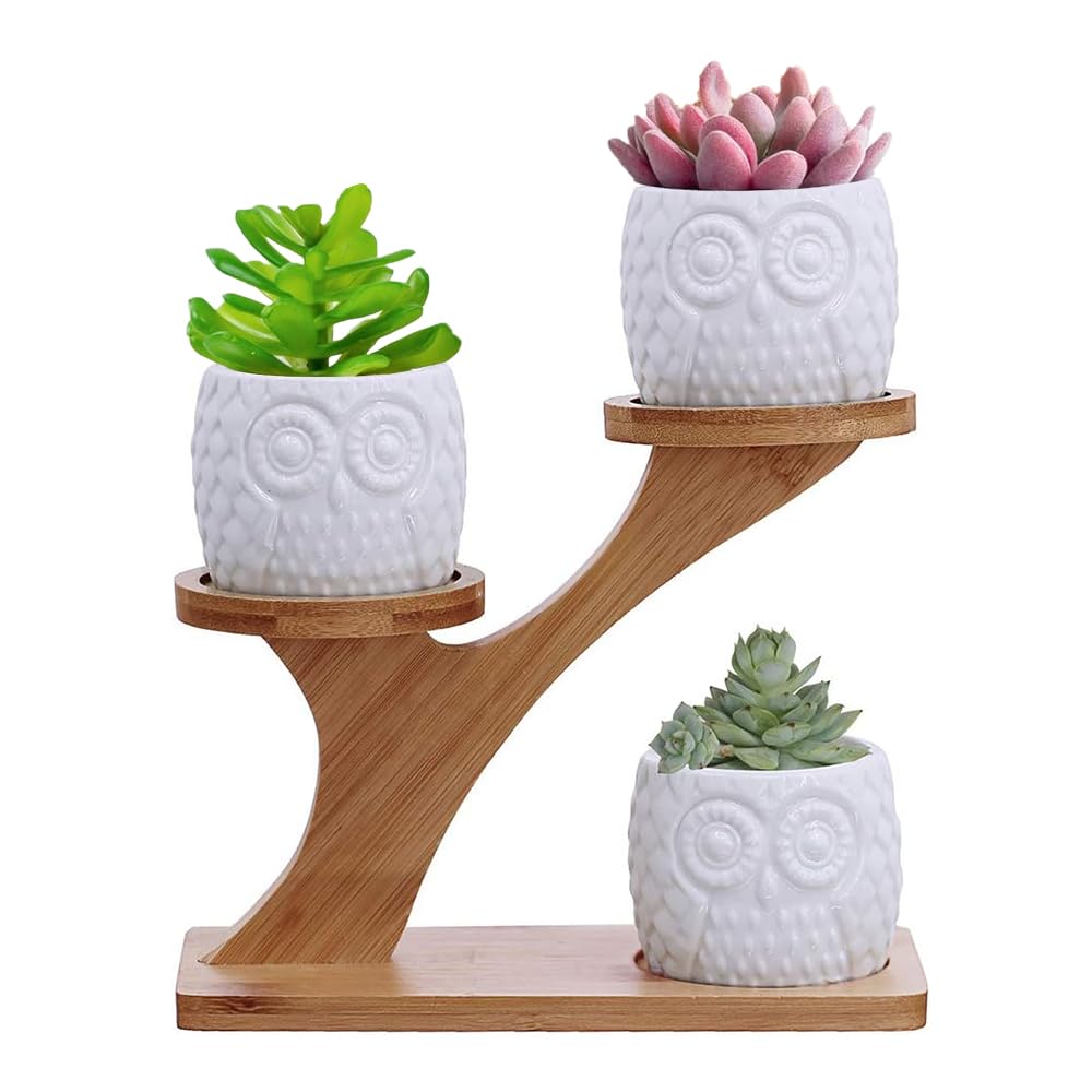 Exrp 3pcs Owl Succulent Pots with 3 Tier Bamboo Saucers Stand Holder - White Modern Decorative Ceramic Flower Planter with Drainage - Home Office Desk Garden Mini Cactus Plant Pot Indoor Decoration