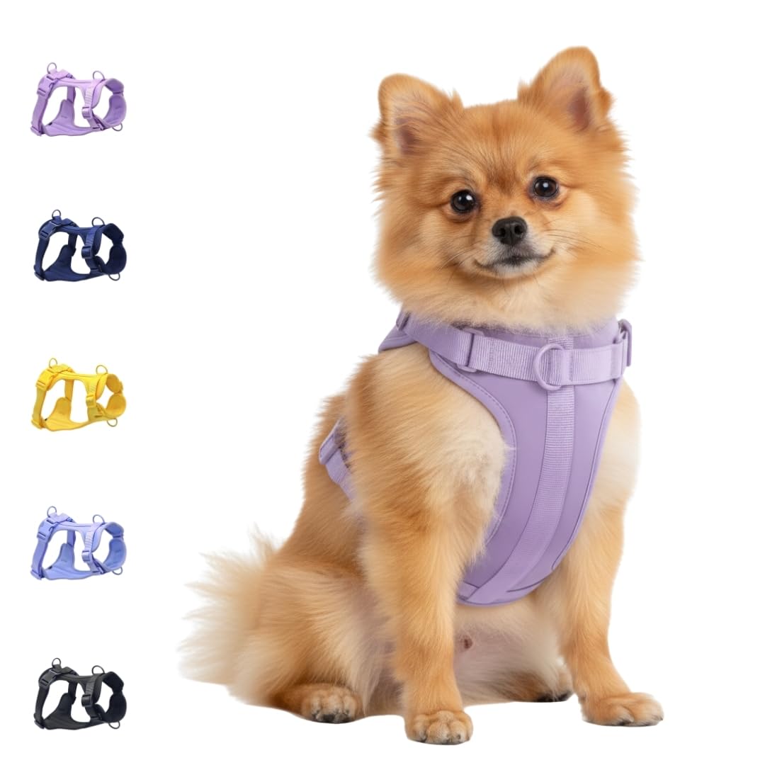 Arnés para perro, arnés para mascotas sin tirones con 3 clips de correa, chaleco acolchado suave ajustable, cojín de malla transpirable para perros pequeños, medianos y grandes (morado, pequeño