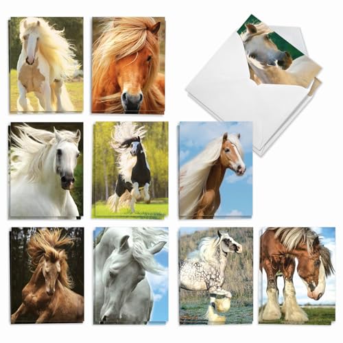 The Best Card Company - 20 Blank Note Cards with Envelopes (4 x 5.12 Inch) - All Occasion Animal Card Assortment (10 Designs, 2 Each) - Horses | Magnificent Manes AM4601OCB-B2x10