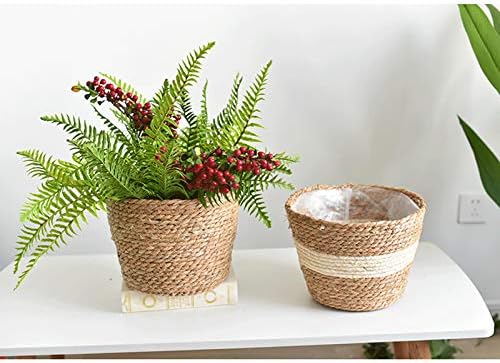 æ Seagrass Planter Basket, Natural Plant Pots Containers, Hand Woven Plant Pot Cover with Leak-Proof Plastic Lining for Indoor Outdoor Garden Balcony Home Decoration (18cm x12cm x12cm )"