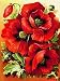 DIY 5D Diamond Painting by Number Kit, Full Drill Poppy Flowers Rhinestone Embroidery Cross Stitch Ornaments Arts Craft Canvas Wall Decor