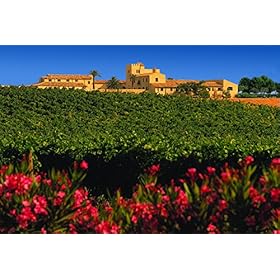 Feudo Principi di Butera Amìra - Nero d'Avola Sicilia DOC - Italian Still Red Wine from Sicily, Italy - 100% Nero d'Avola Grapes - 75cl / 750ml, 13.5% ABV – PRINCIPI DI BUTERA