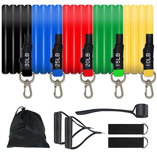 MsMk Resistance Bands Set, Exercise Bands with Door Anchor, Handles, Waterproof Carry Bag, Legs Ankle Straps for Resistance Training, Physical Therapy, Home Workouts