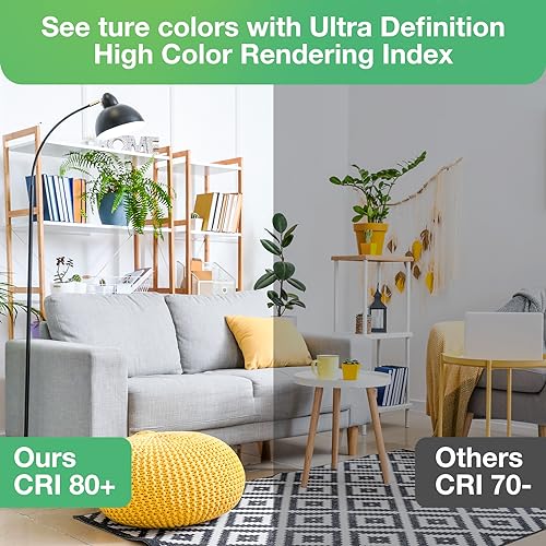 Image of A19 LED Light Bulbs, 60 Watt Equivalent LED Bulb, 2700K Soft White 800Lumen Light Bulb 8W, Non-Dimmable Lighting E26 Base, CRI 80+, 15000+ Hours Lifespan, Pack of 12