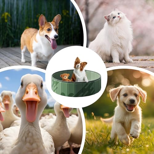 Piscina de cães, piscina dobrável para cães,Tuba de Kiddie para ao ar livre | Piscinas cachorrinhos