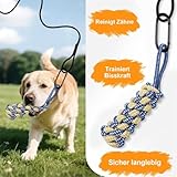 REDKNOT 12 Stück Reizangel Hunde Profi Ausziehbar Interaktive Hundespielzeug mit 2 Tauen, 8 Hund Kauspielzeug Springspielzeug mit Lautes Papier, Glocken für Kleine Große Hunde Haustier Auslastung