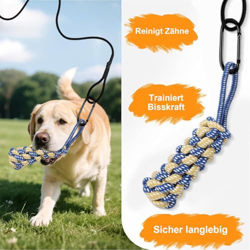 REDKNOT 12 Stück Reizangel Hunde Profi Ausziehbar Interaktive Hundespielzeug mit 2 Tauen, 8 Hund Kauspielzeug Springspielzeug mit Lautes Papier, Glocken für Kleine Große Hunde Haustier Auslastung