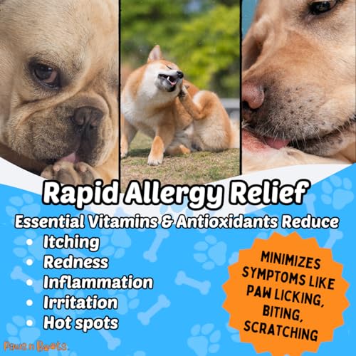 Image of Protective Skin Barrier Cream Best Itchy Skin Relief for Dogs. Holistic Treatment, 100% Natural. Fast-Drying, Mess-Free, No Distractions. Relieves Itching, Hot Spots, Paw-Licking Lemon grass-Retriever